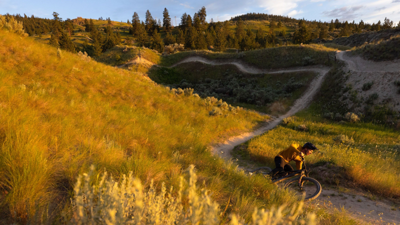 Specialized Purgatory Grid 2Bliss Ready T9 29x2.4 Tyre Black-6